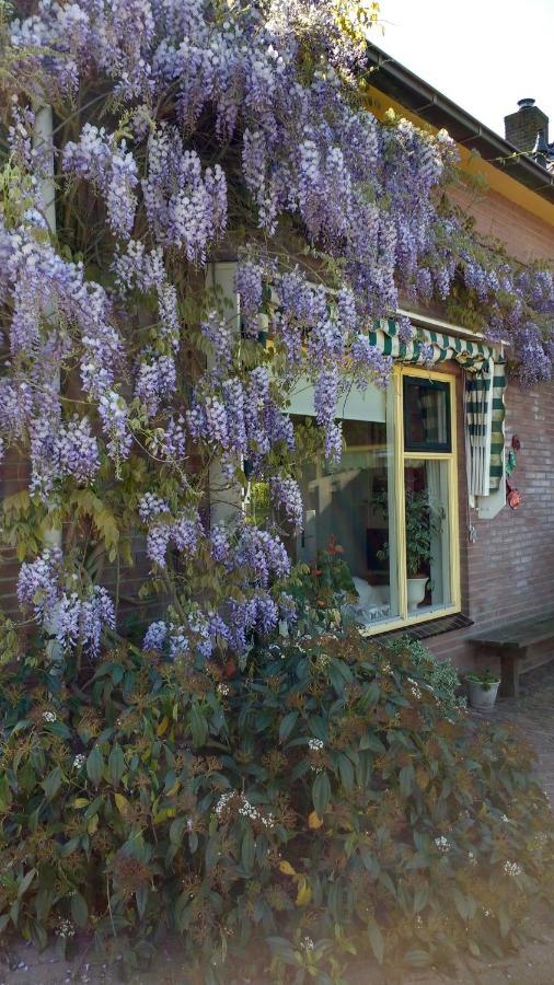 B&B De Vlinder Hardenberg Ngoại thất bức ảnh
